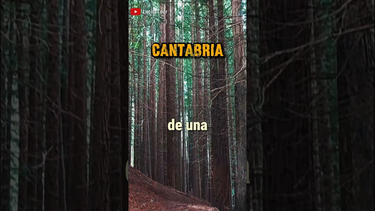 📍Un BOSQUE de SECUOYAS en ESPAÑA 🇪🇸 [Cabezón de la Sal, CANTABRIA]