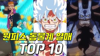 원피스 동물계 악마의 열매 성능 순위 TOP10