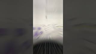 Day 8: Forms and Input Fields