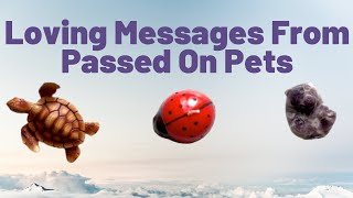 Loving Messages From Your Passed On Pets 💜🔮💫Pick A Card / Pick An Animal💫 ✨Timeless ✨
