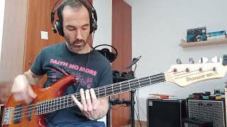 Cannons - Love on the Ground (Bass cover)