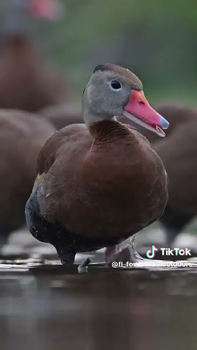 03133569683Mi subscribe like subscribe karo aur mera number hai link mein#