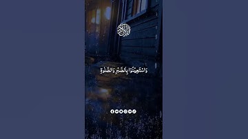 Surah Al-baqarah || Umair Shamim || Ayat No 44 - 47 || The Most Beautiful Recitation Of Holy Quran