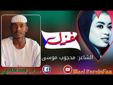 الشاعر محجوب موسى