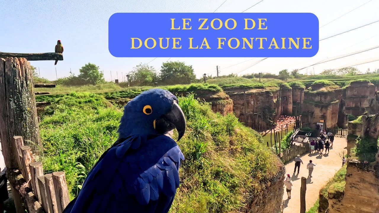 LE ZOO DE DOUE LA FONTAINE, dans le Maine et Loire, un joli zoo à visiter