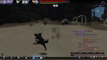 Vindictus EU gravity bug