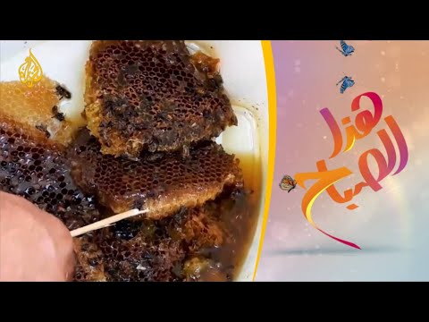 🌅 هذا الصباح - عسل كردستان العراق.. قيمة غذائية وطعم مميز