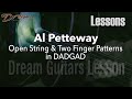 Dream guitars lesson  al petteway  open string  two finger patterns in dadgad