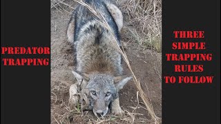 Beginning Trappers: 3 simple rules to follow for predator trapping