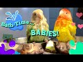 FLASHBACK Video: Baby-BATH