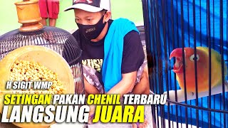 Setingan Pakan Lovebird Terbaru H Sigit WMP Untuk Chenil Jadi Juara