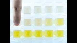 Critical Micelle Concentration