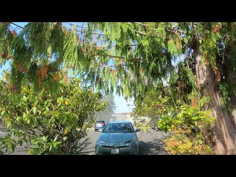 Cape Resort Neah Bay Wa