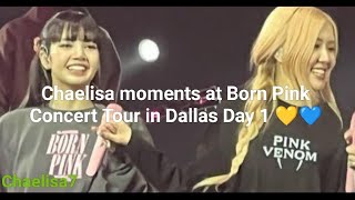 Is something off between Chaelisa? Chaelisa being "co-workers" @ Bornpink concert in Dallas Day 1