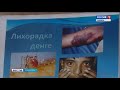 В Сибири всплеск лихорадки Денге: тропическую болезнь сибиряки привозят из отпусков