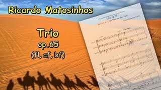 Trio op.65 - R. Matosinhos