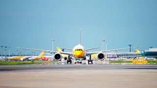 Scoot Enhances its Employee Experience Through Digital Empowerment | Workday