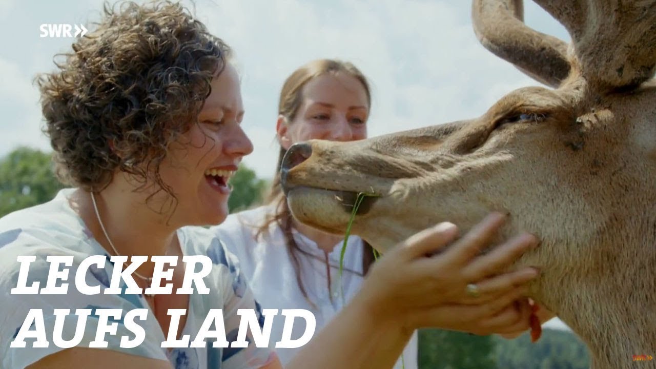 Zu Andrea Engel Nach Schwabisch Hall Sommerreise Staffel 9 Folge 5 Swr Lecker Aufs Land Youtube 