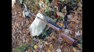 Remington 541S Custom .22LR with CCI Standard Velocity @ 50 Yards