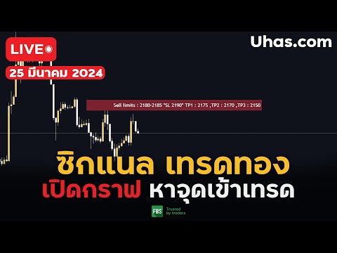 🔴Live ซิกแนล XAUUSD 25 มีนาคม 2024 