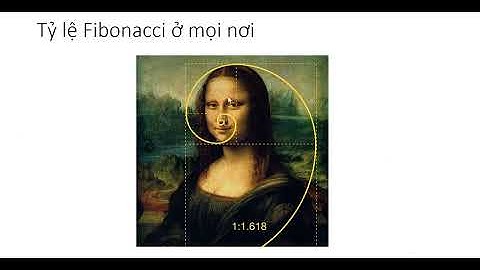 Bài 15  Công cụ Fibonacci Retracement là gì  Hướng dẫn sử dụng chỉ báo Fibo