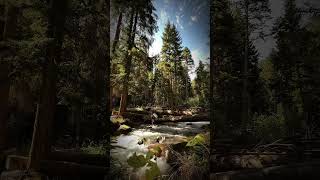 Горная река.Переправа.