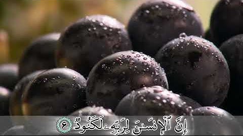 ترجمه تصویری سوره عادیات (۱۰۰)