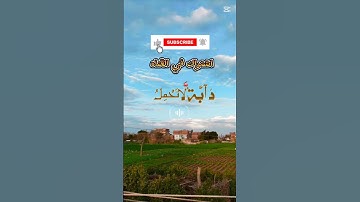 احترام القرآن الكريم دقيقه #القرآن_الكريم #ذكر_الله #spiritualjourney
