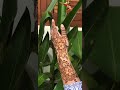 New #new #trending #shorts #like #subscribe #henna