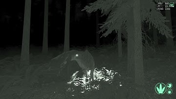 Fix Your Game - The Isle Legacy