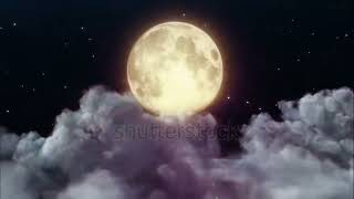 Guy Apollodale Spinayou Made Me So Very Happyblood, Sweat And Tears