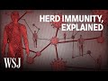 What It Would Take to Reach Herd Immunity | WSJ