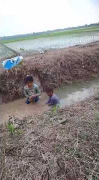 #lucu #anakanak bocil mandi di sawah