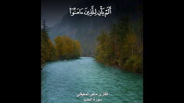 ﴿الم يان للذين امنو ان تخشع قلوبهم لذكر الله﴾ القارئ ماهر المعيقلي