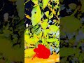 🪷🌺🌸🍂 new post#viral#Viralvideos #splendormodified
