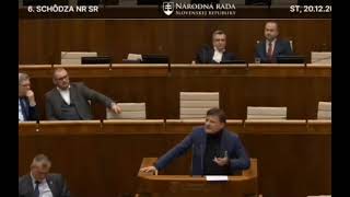 Slovenské hroty v parlamentu