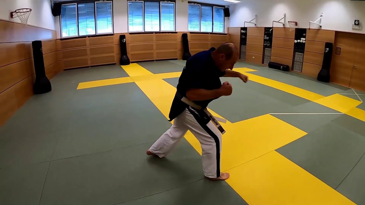 Yoseikan Budo e Sviluppi e Idee   Master 10