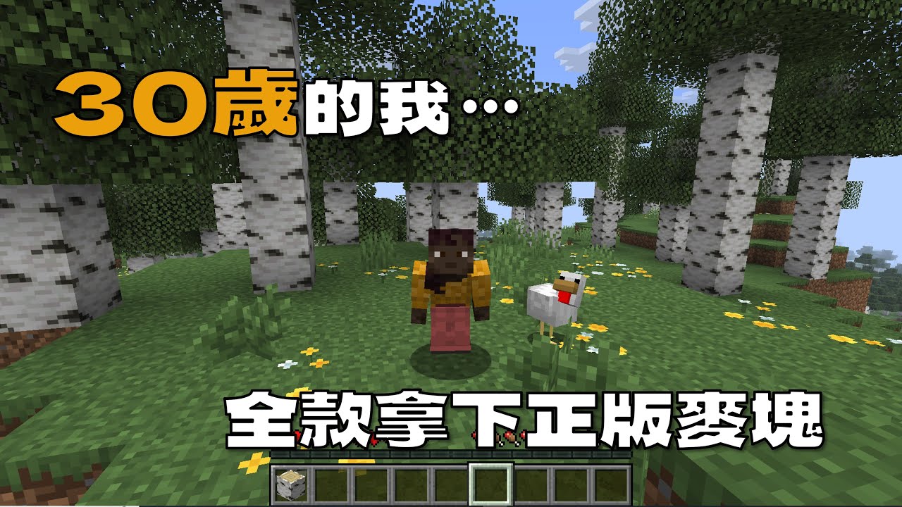 30歲的我全款拿下正版麥塊...