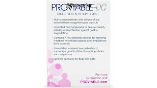 Nutramax Proviable Digestive Health Supplement Review: Is It Worth Your Pet’s Health?