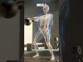 What If You Followed Saitama’s workout for 30 Day’s? #whatif #gym #skeletonshorts #facts