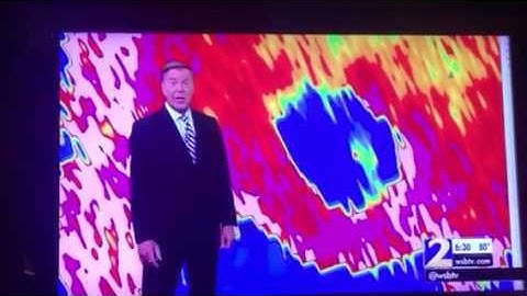 Birds in the eye of Hurricane Matthew