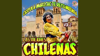 Video thumbnail of "Los Lara - Chilena Tia Gude"