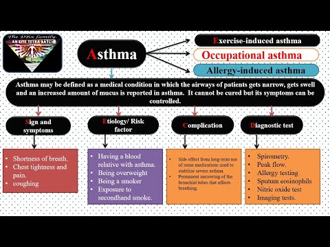 Asthma Pathophysiology Flow Chart