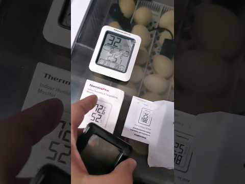 اعجوبة ومقارب جدا في قياس الحرارة والرطوبة