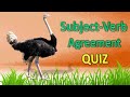 Understanding the Video Tutorial