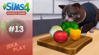 The Sims 4 Кошки и собаки | Мордой в капусту! - #13 The Sims 4 Кошки и собаки | Мордой в капусту! - #13