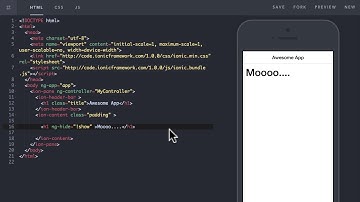 AngularJS Functions (ng show, ng hide, ng if) Briefly Explained