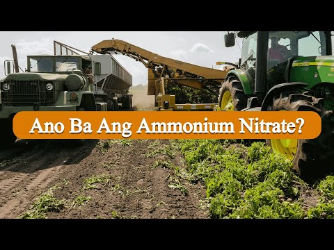 Video: Ammonium Nitrate Sa Bansa: Paano Gamitin?