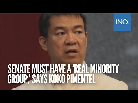 Senate must have a ‘real minority group,’ says Koko Pimentel