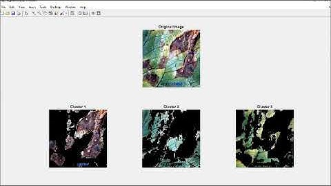Plant Disease Detection Using Image Processing